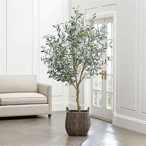 Refresh the room with a touch of the Mediterranean. Our lifelike, seven-foot-tall olive tree fools the eye with its realistic branches and soft green leaves characteristic of the olive tree. Although already potted in its own black plastic container, we recommend "planting" it in one of the many attractive planters (sold separately) in our collection. Polyester, plastic, Styrofoam and wire ... 